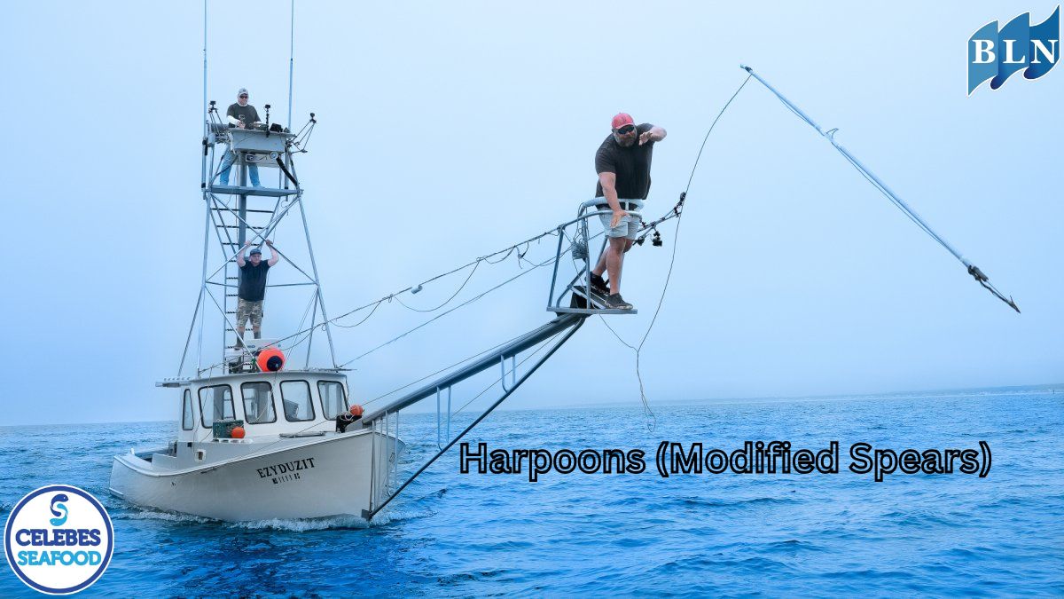 Getting to Know Harpoons (Modified Spears)